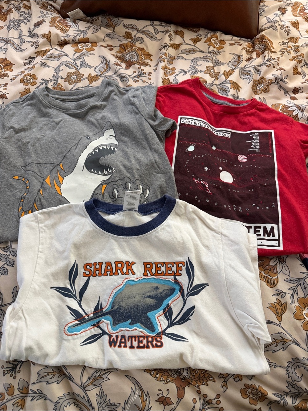 Kids Shark Reef Waters Tee - White/Navy